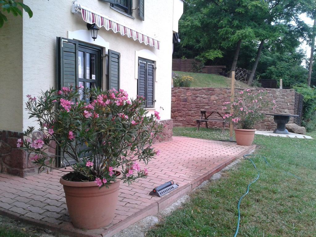 Hillside Apartments Révfülöp 部屋 写真