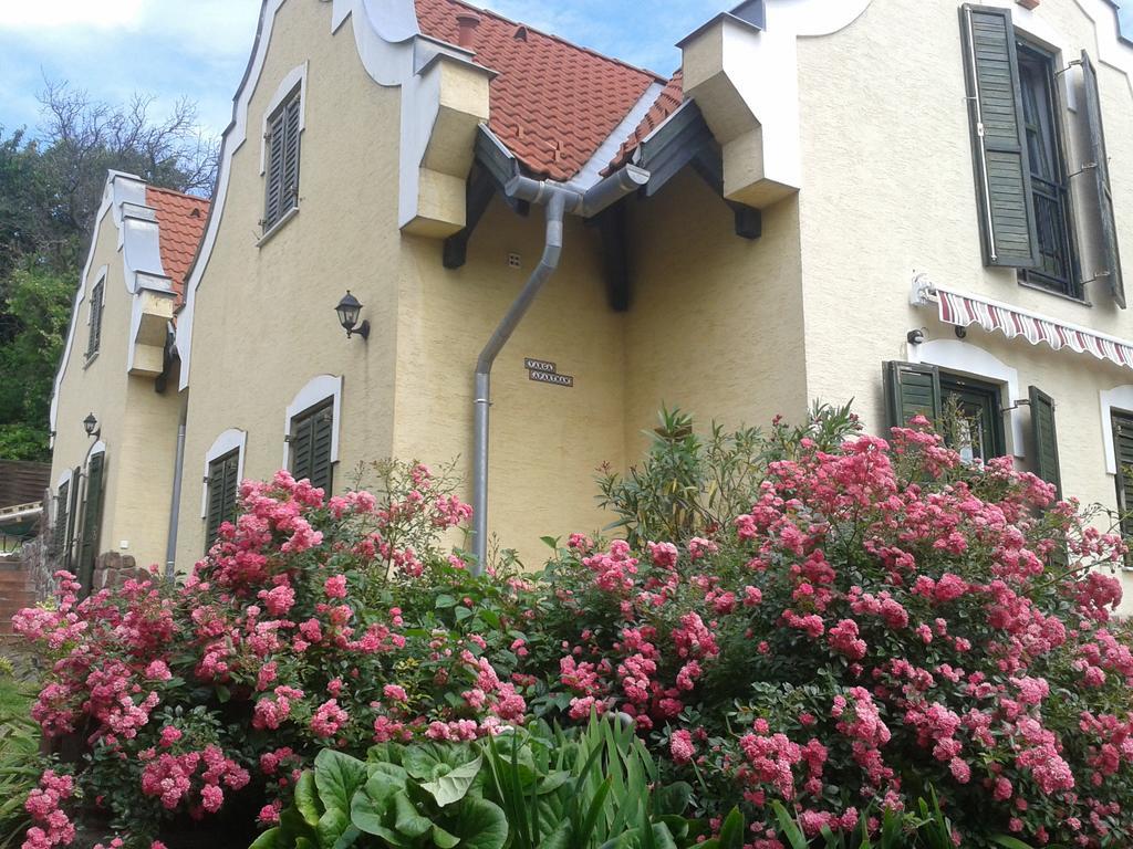 Hillside Apartments Révfülöp 部屋 写真