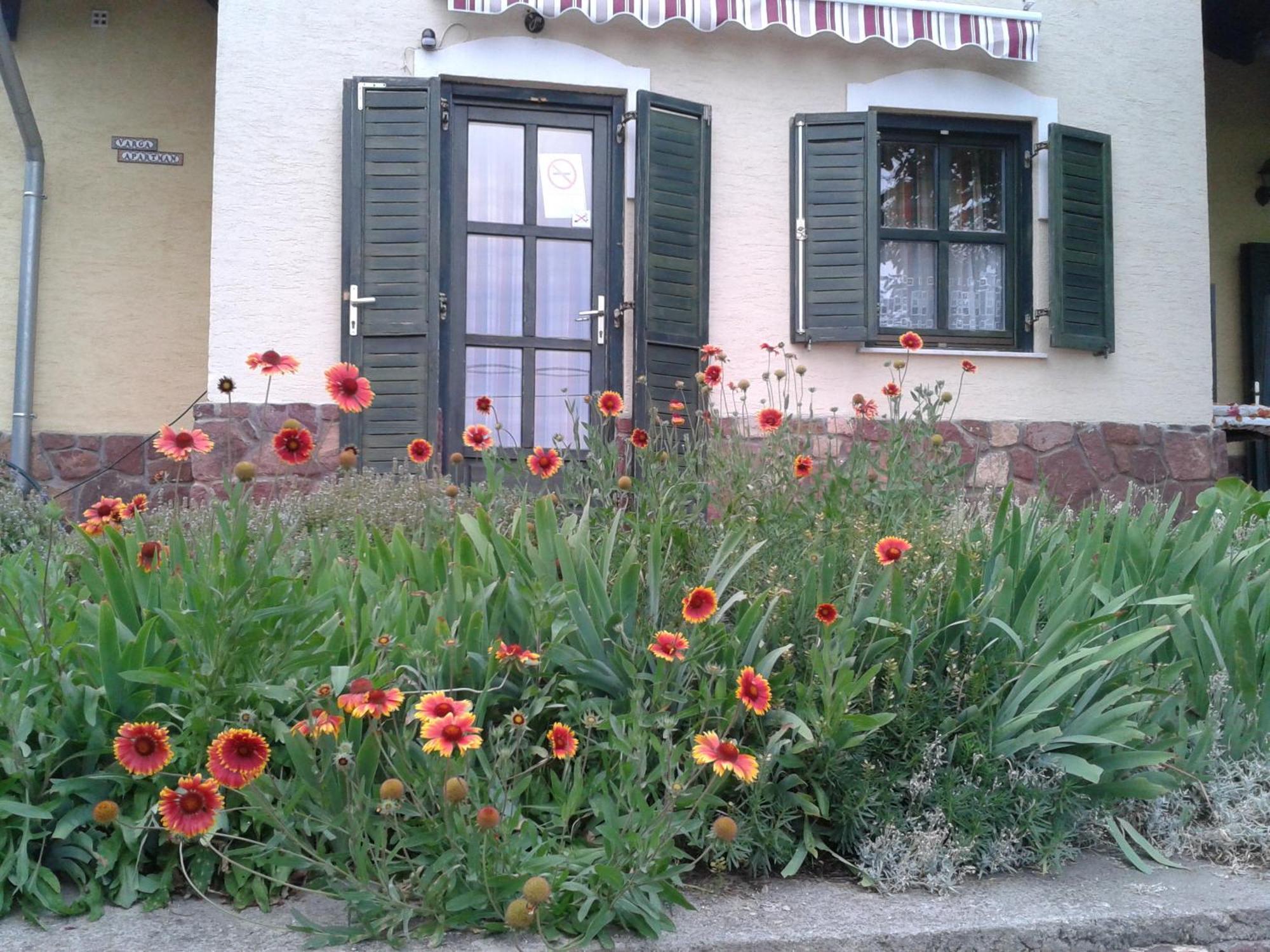 Hillside Apartments Révfülöp 部屋 写真